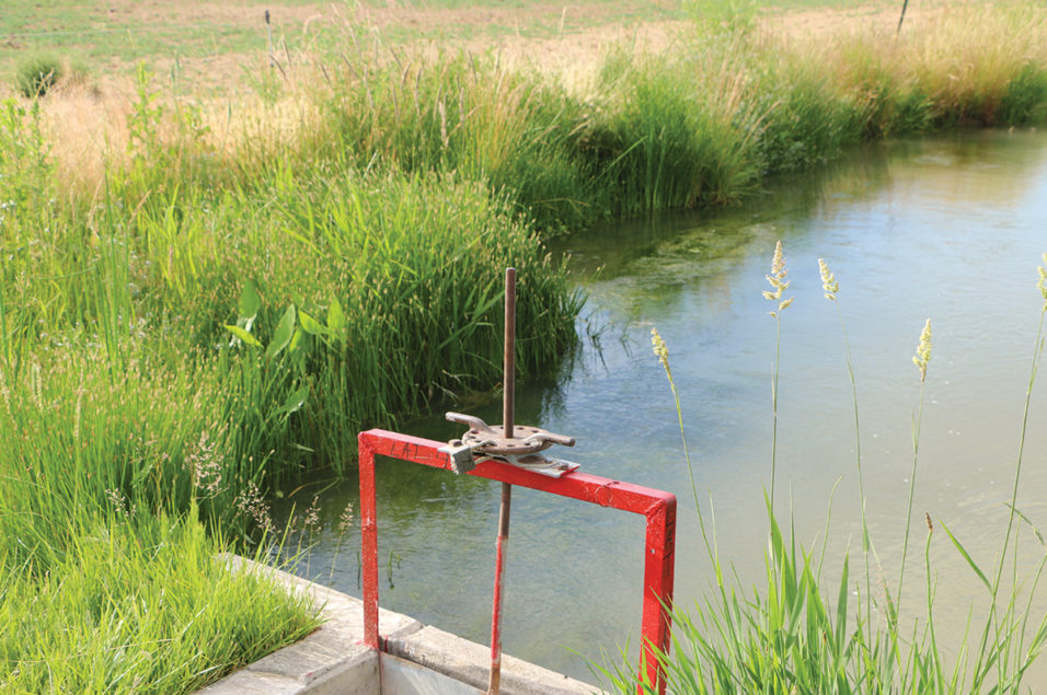 the-water-wake-of-idaho-s-growth-ag-proud