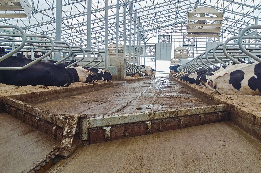 4 Considerations for Laying Out Your Barn | Ag Proud