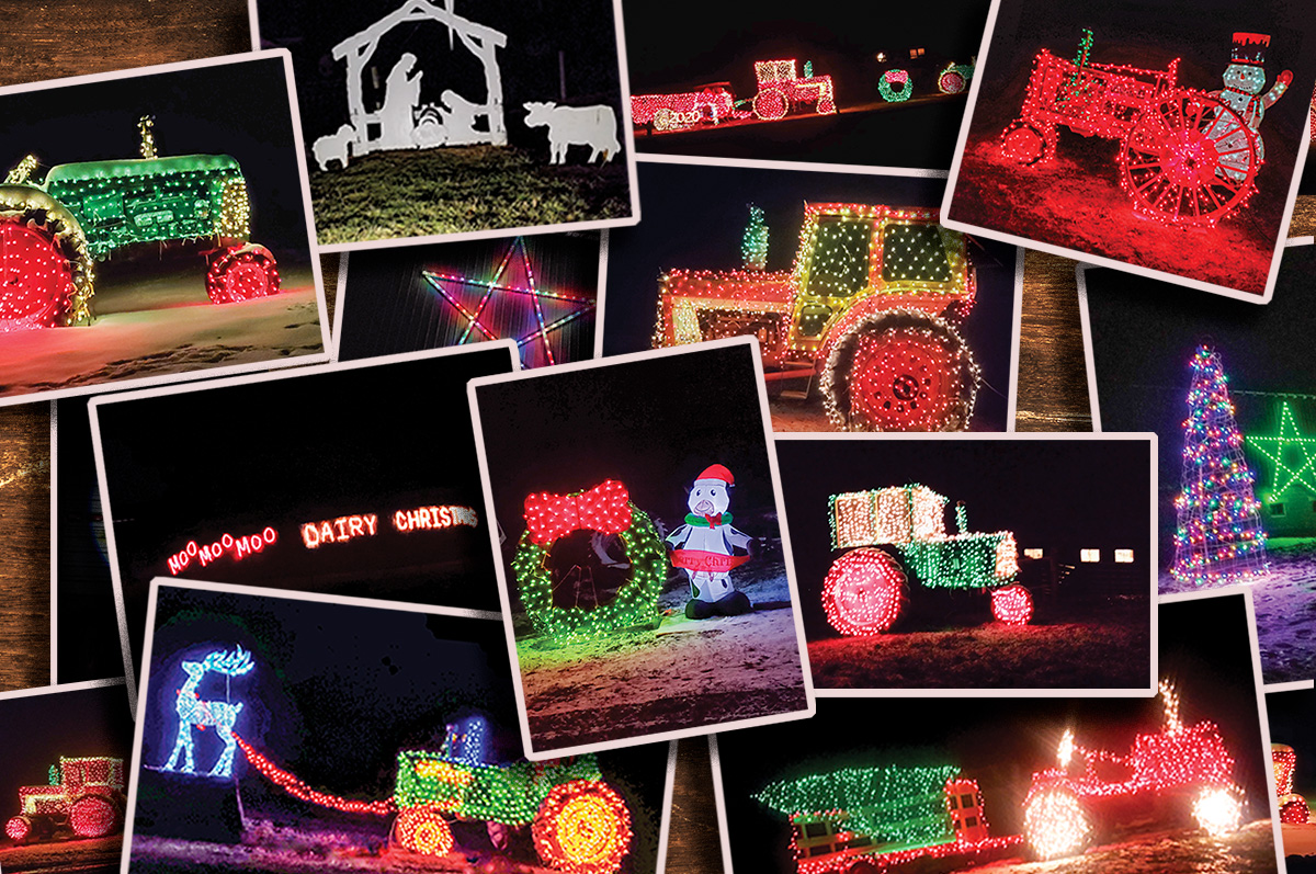 Christmas Lights Adorn Ryans Glade Farm Ag Proud   56385 Schmitz Collage 