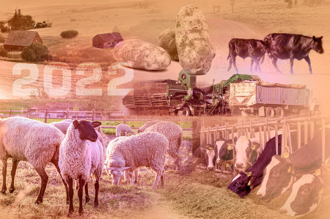 56640-wilder-ag-collage.jpg