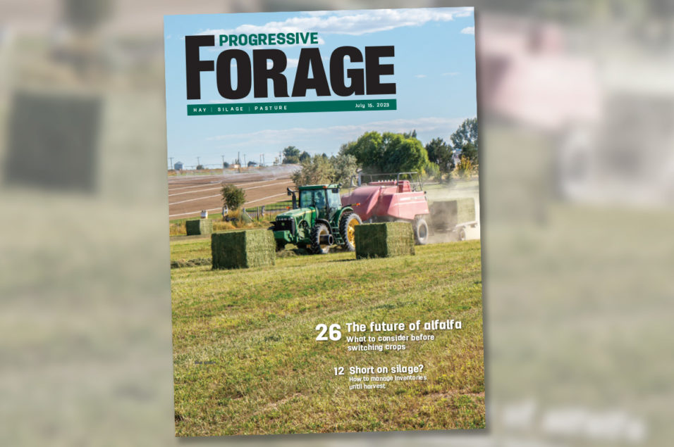 July 15 2023 Progressive Forage Digital Magazine Ag Proud 0985