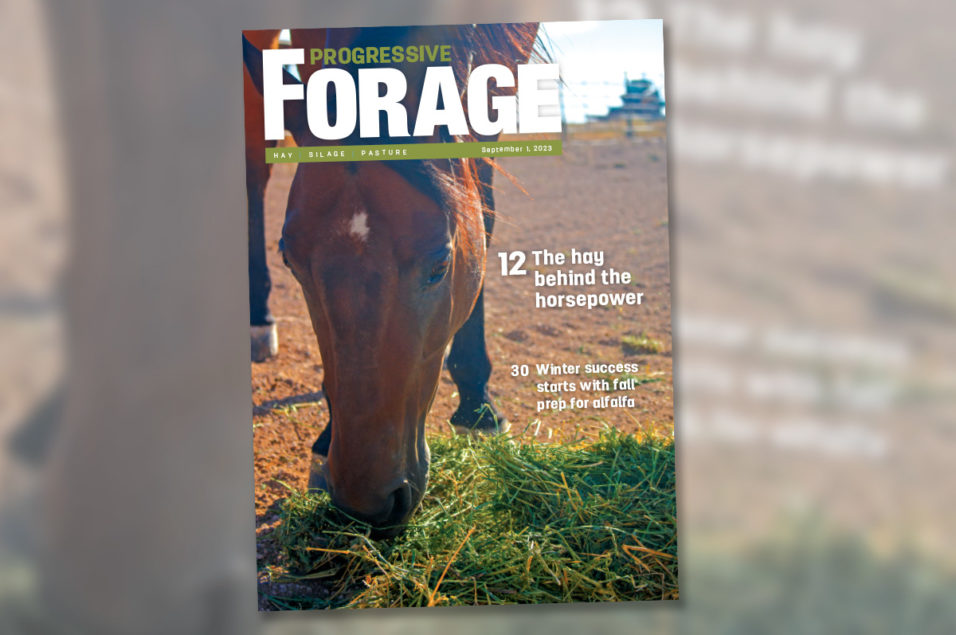 September 1 2023 Progressive Forage Digital Magazine Ag Proud 8226