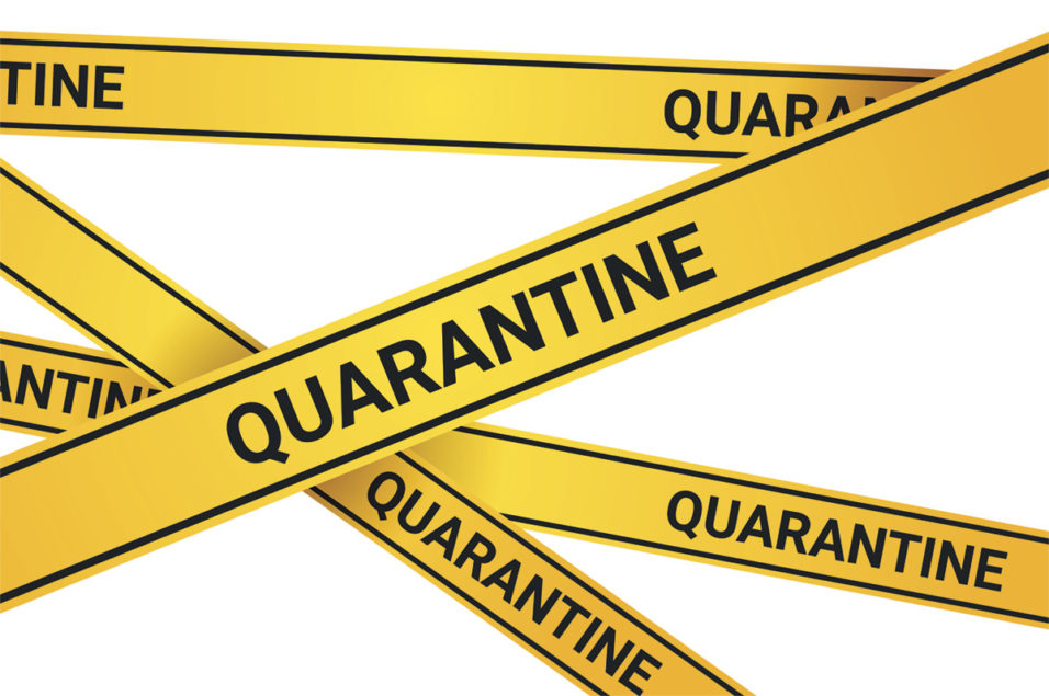 Q&A with a vet: Biosecurity and quarantine best practices | Ag Proud