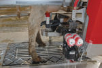 58506-guelker-robotic-milker.jpg