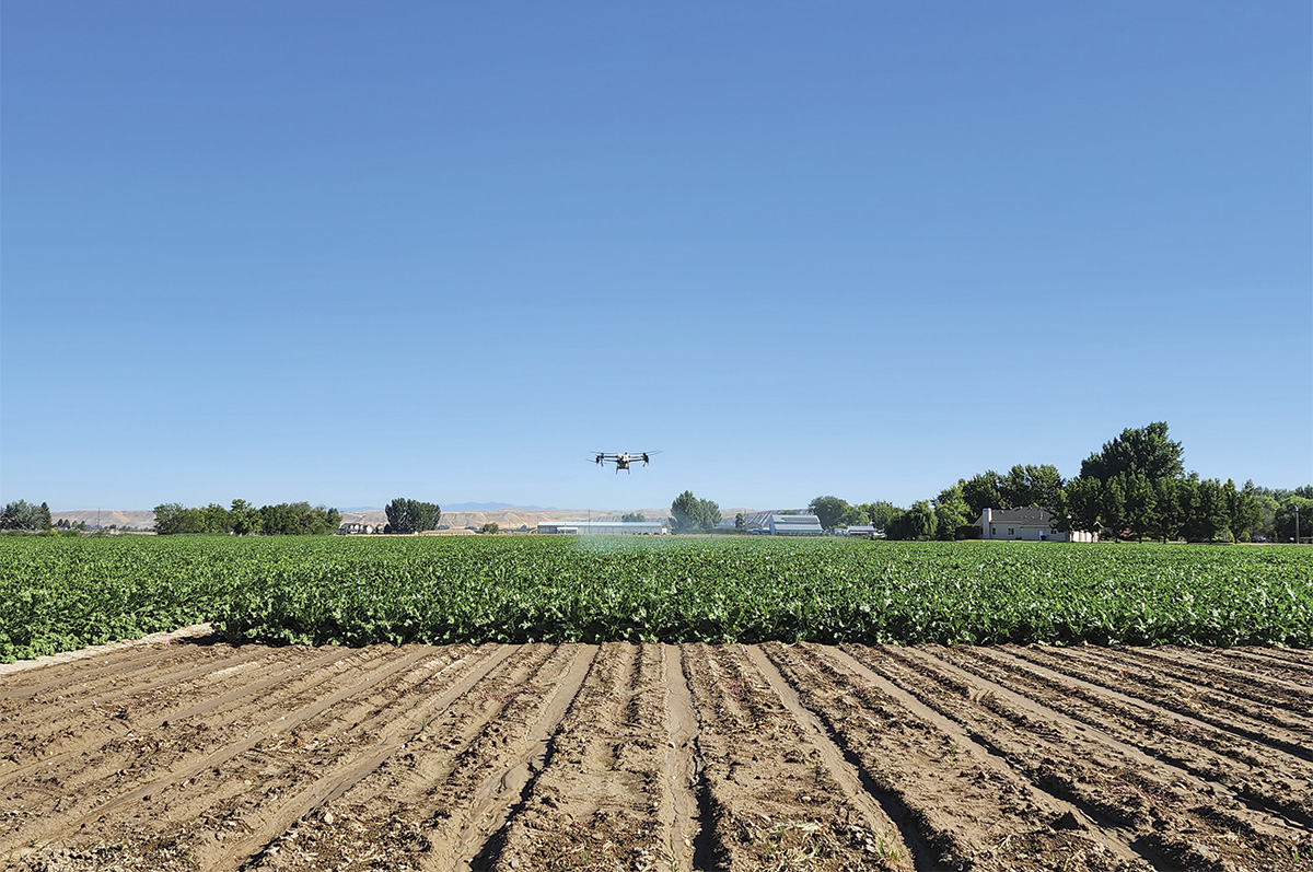 59398-woolsey-drone-pesticide.jpg