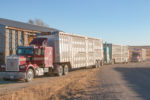 60206-eckerle-trucks.jpg