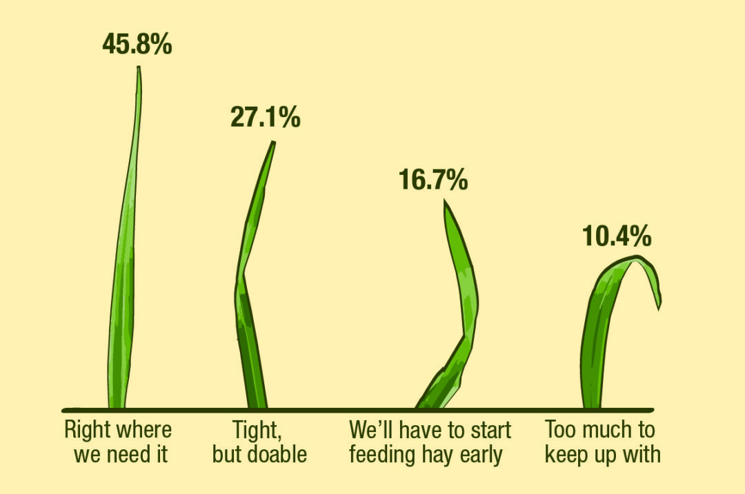 60356-poll.jpg