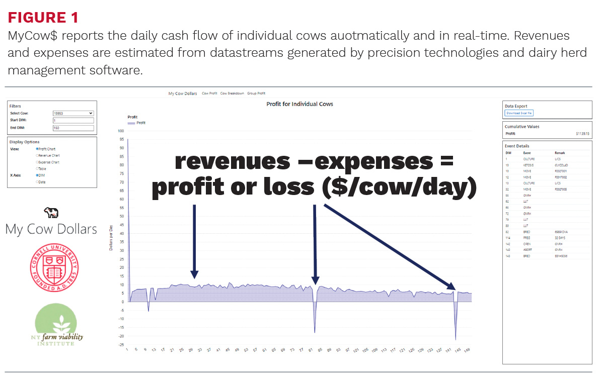 MyCows-giordano-fg1.jpg