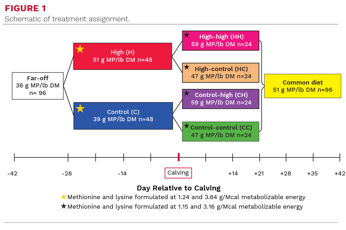 increasing-metabolizable-protein-supply-westhoff-fg1.jpg