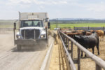 60699-sorensen-feedlot-dixon.jpg