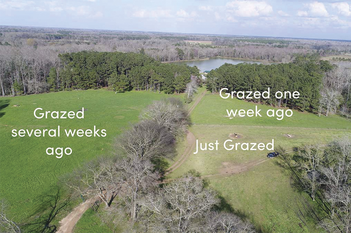 60806-omeara-WhiteOak_regenerative-agriculture-grazing-impact-example.jpg