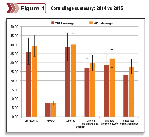 corn silage summary