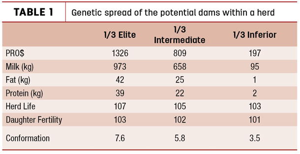 Genetic spread of the potential doms within a herd