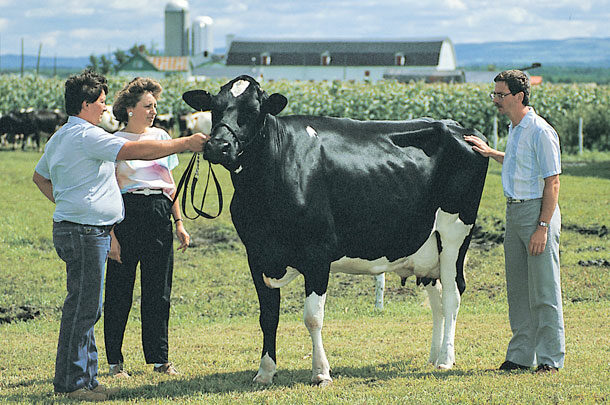 Pierre Laliberté had no idea the photo of himself, Hélène Keurentjes and Marc Comtois with Elysa Anthony Lea EX 15