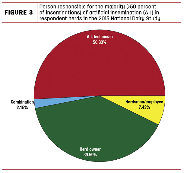 Person responsible for the majority (>50 percent of inseminations) of artificial insemination