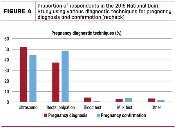 using various diagnostic techniques for pregnancy diagnosis and confirmation (recheck)