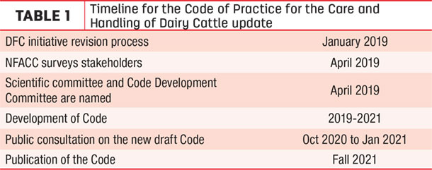 Timeline for the Code of Practice for the Care and Handling of Dairy Cattle update