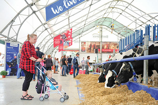 Britespan Dairy Innovation Centre is a fully functional robotic milking barn showcasing two competing systems,