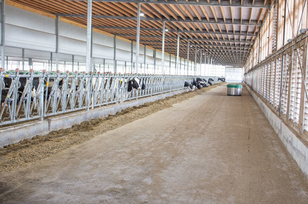 Cross-ventilated barn