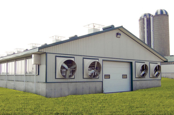 Tennel ventilation in a tiestall dairy