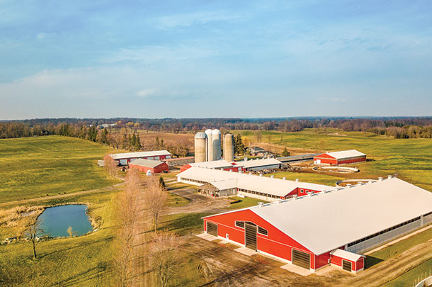 Bosdale Farms finds success integrating older facilities with a