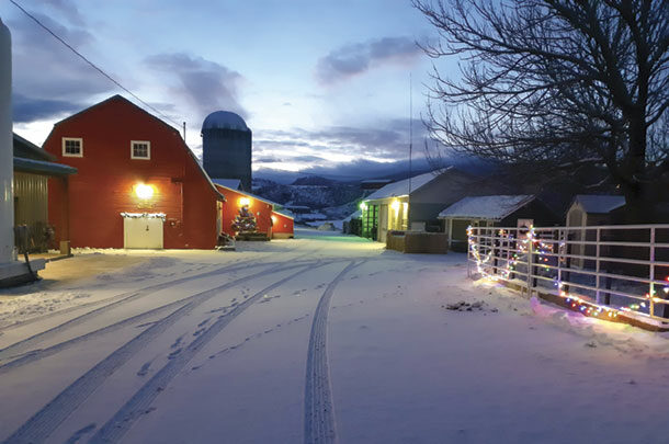 Hunter Family Farm