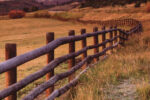 acrossfence-whitehurst.jpg