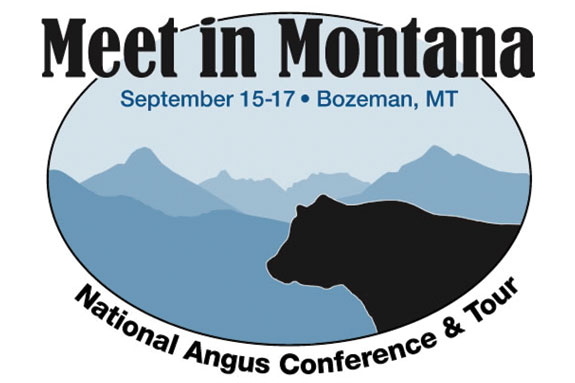 Meet in Montana logo 