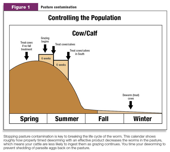 Effect of properly timed de-worming on population