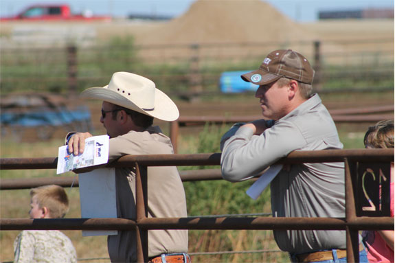 Viewers at Wulf Cattle 