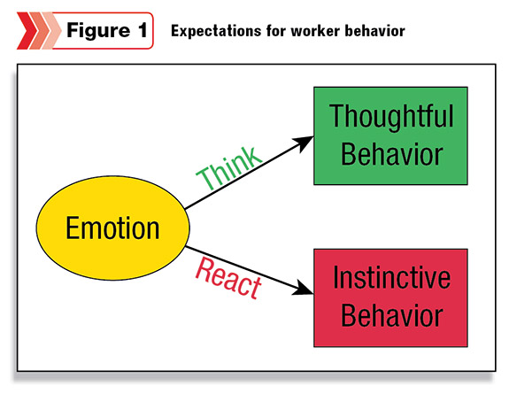 Expectations for farm worker behavior