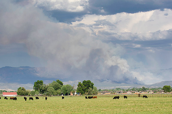 summer wildfire image