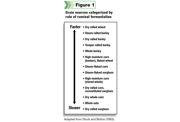 Grain sources categorized by rate of ruminal fermentation