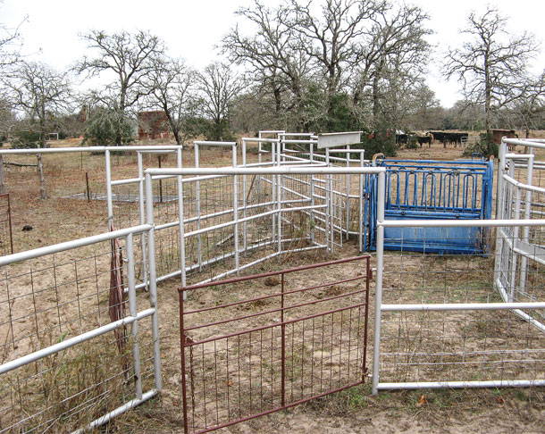 One-man corrals reduce labor requirements - Progressive Cattle | Ag Proud