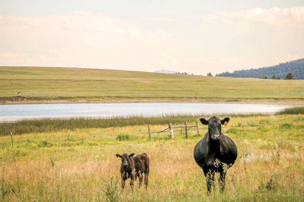 The Two Creek Monture Ranch home base is on deeded ground 