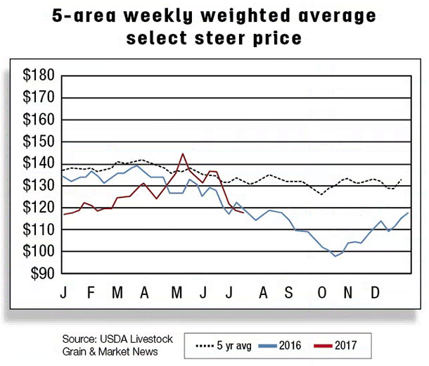 5 area weekly weighted average select steer price