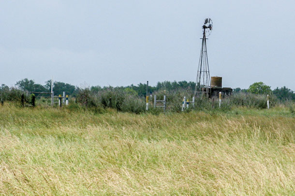 Stocking rate should match the amount of available forage