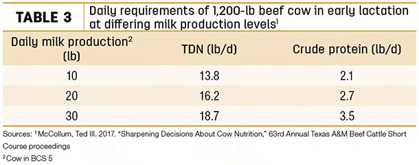 Daily requirements of 1,200-lb beef cow in early lactation at differing milk production levels