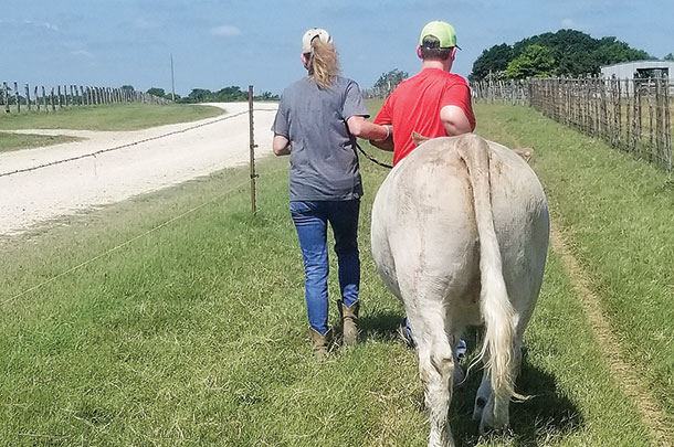 Robin and Case take Casper for a walk