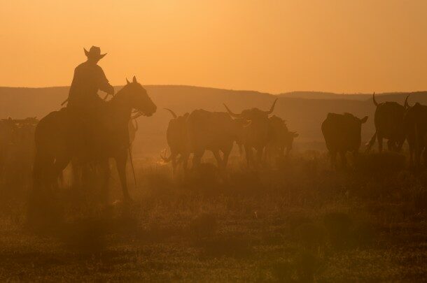 Drought risk on the ranch