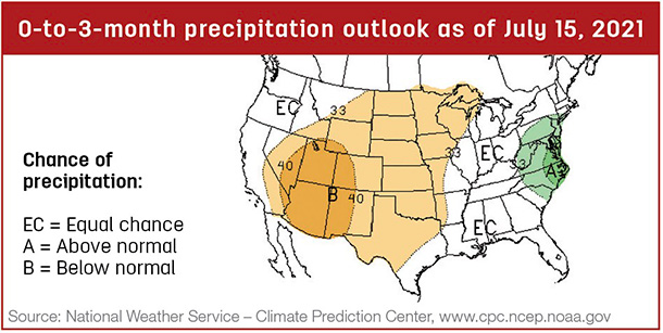 Precipitation map