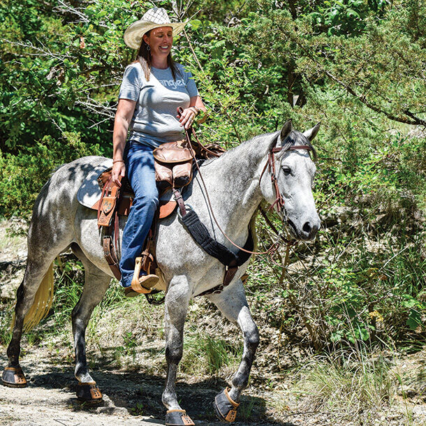 Equine arthritis