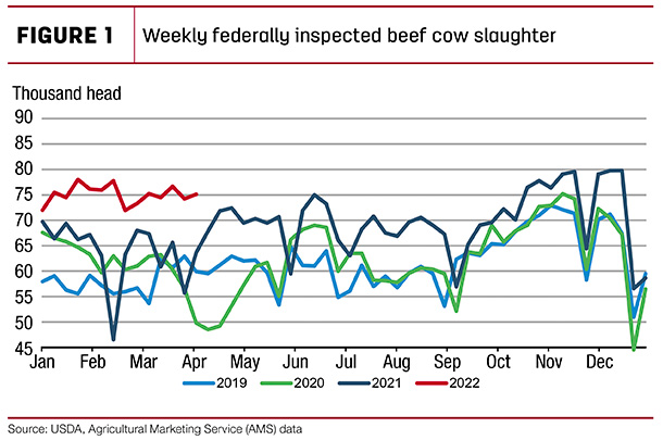 Weekly federally inspected beef cow slaughter