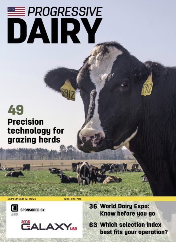 Progressive Dairy Issue 15 2022