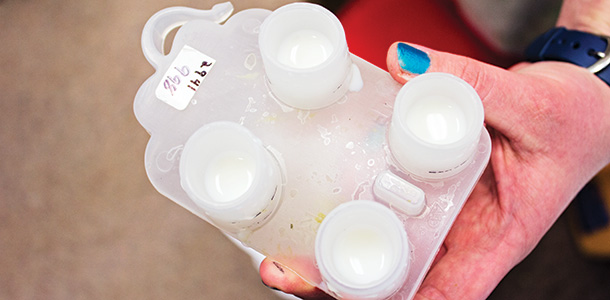 A reusable Q4 collection cup captures milk