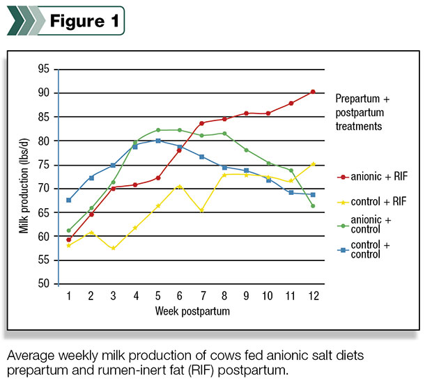 0314pd_froetschel_fig_Cattle fed anionic salts prepartum and RI fat postpartum produced 28.6 percent more milk from weeks eight to 12 as compared to controls 