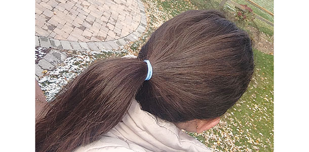 Ponytail holder