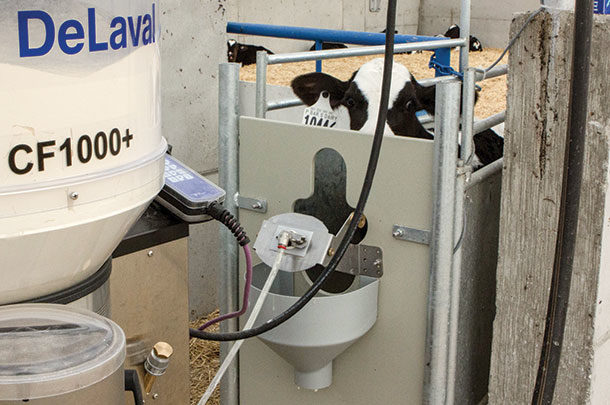 Research Finds Benefits To Automated Calf Feeding Systems Progressive Dairy Ag Proud 