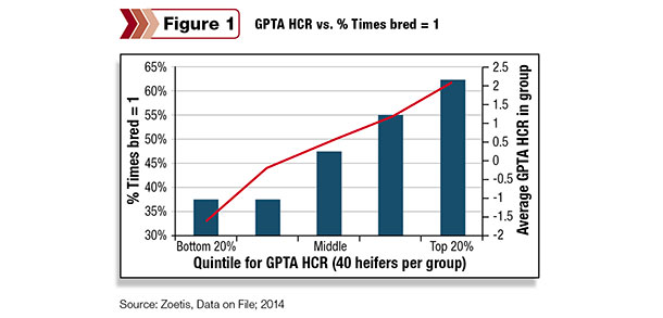 conception rates