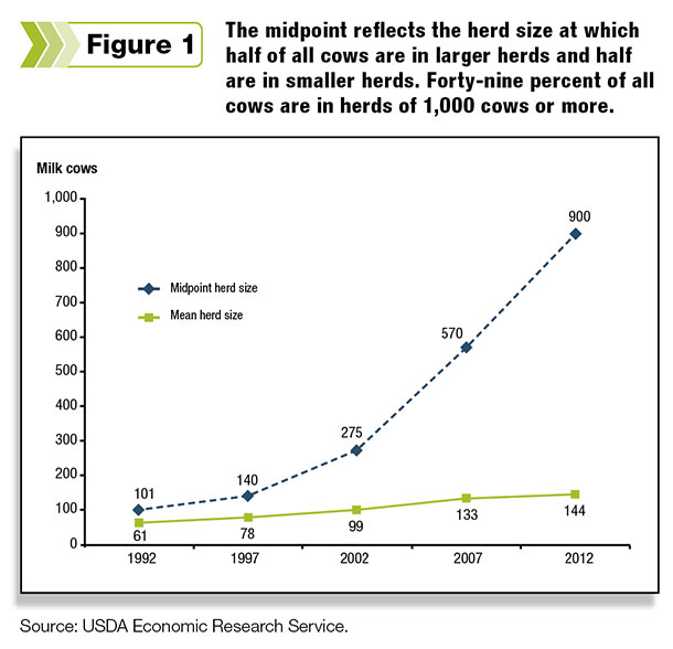 milk production vs herd size